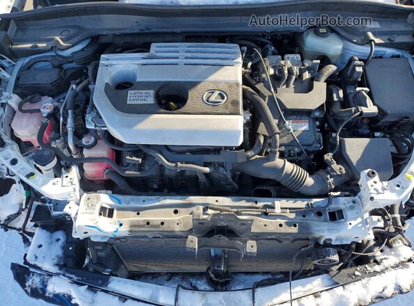 JTHR9JBH8M2043466 2021 LEXUS UX White Вид задньої частини салону