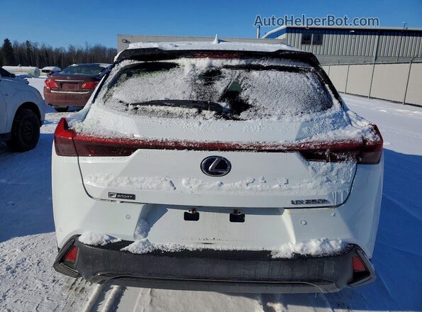 JTHR9JBH8M2043466 2021 LEXUS UX White Вид ззаду