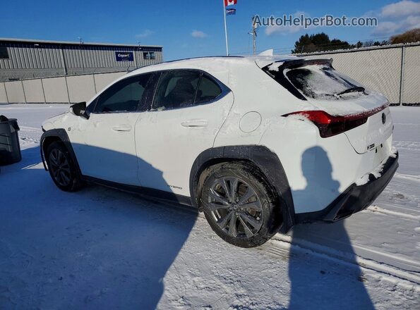 JTHR9JBH8M2043466 2021 LEXUS UX White Задня ліва чверть