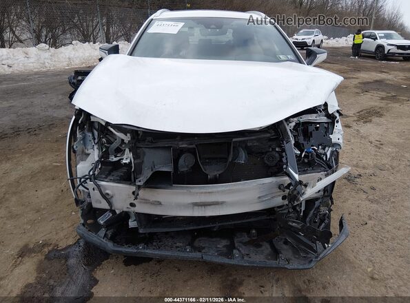JTHR9JBH9N2055711 2022 LEXUS UX 250H White Դիմացի տեսք