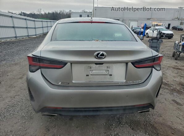JTHSZ5DC3L5010012 2020 LEXUS RC Gray Widok z tyłu