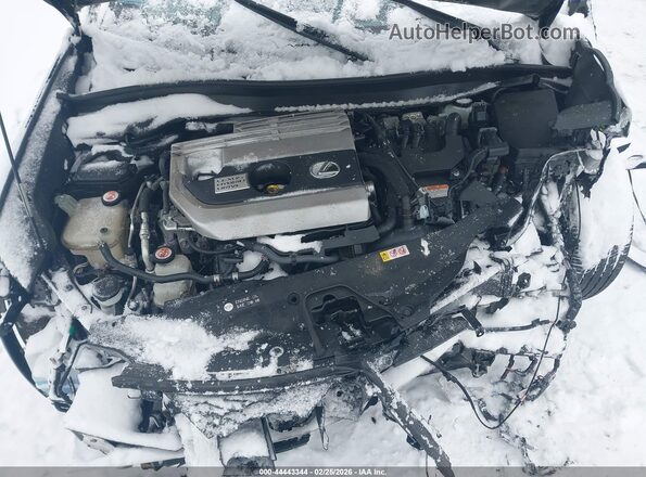 JTHU9JBH4K2018281 2019 LEXUS UX 250H Black Вид ззаду