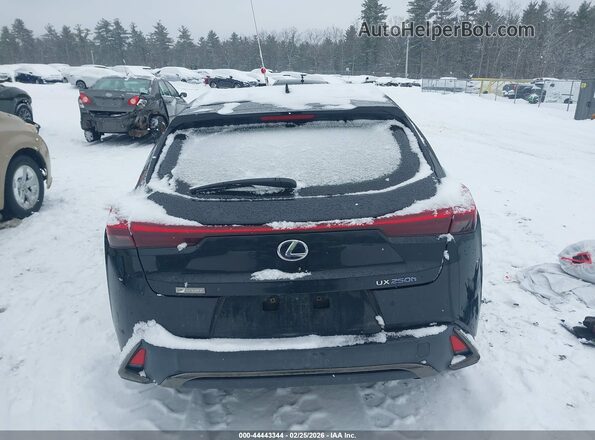 JTHU9JBH4K2018281 2019 LEXUS UX 250H Black 