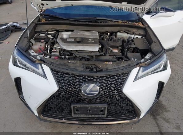 JTHU9JBH8K2002990 2019 LEXUS UX 250H White Widok z tyłu