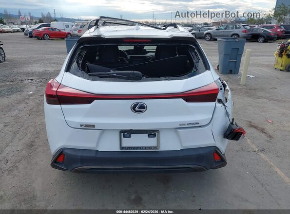 JTHU9JBH8K2002990 2019 LEXUS UX 250H White Widok z przodu
