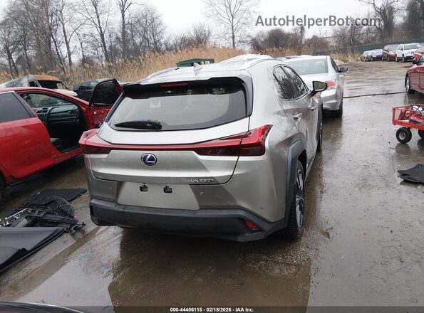 JTHU9JBH9K2016719 2019 LEXUS UX 250H Gray 
