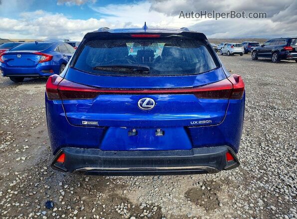 JTHU9JBHXK2015482 2019 LEXUS UX Blue 