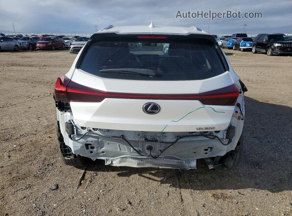JTHX3JBH0M2038397 2021 LEXUS UX Белый Вид сзади