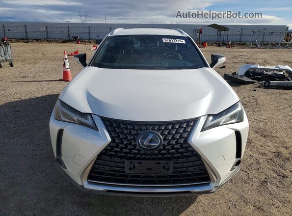 JTHX3JBH0M2038397 2021 LEXUS UX Белый Вид спереди