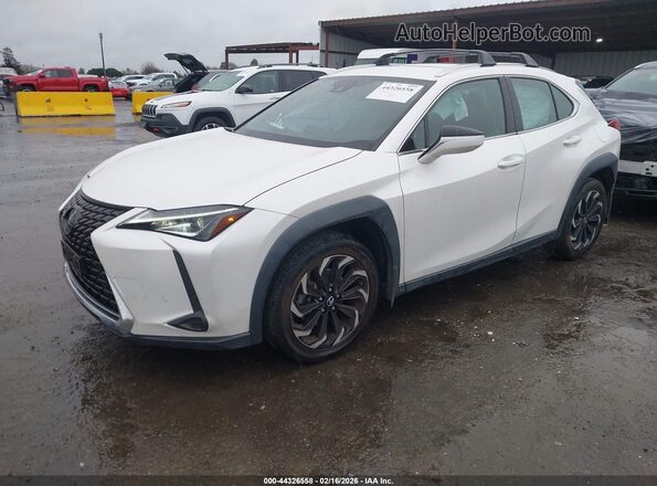 JTHX3JBH6N2056212 2022 LEXUS UX 200 White Передня ліва чверть