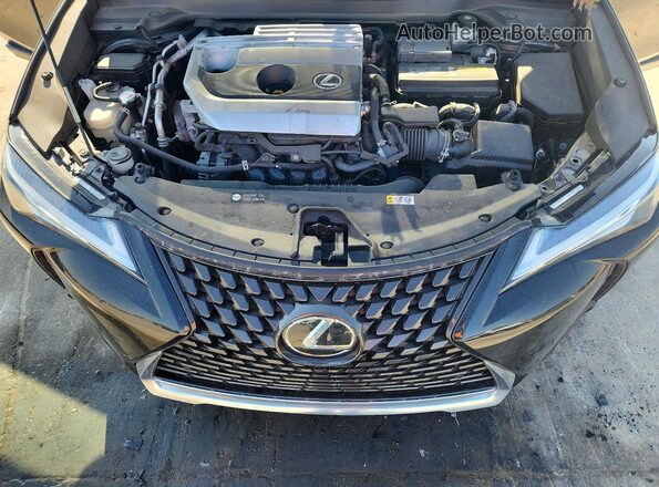 JTHX3JBH8M2037031 2021 LEXUS UX Black 