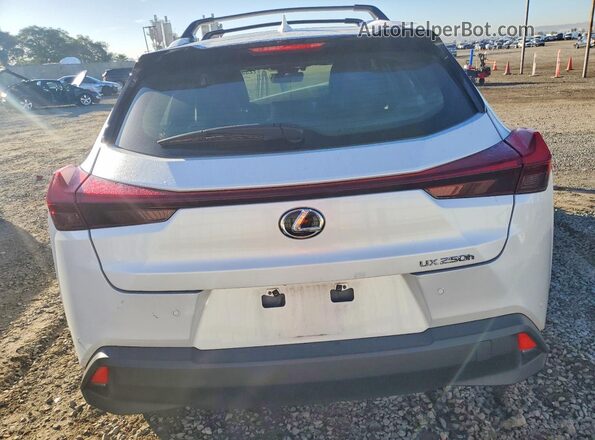 JTHX6JBH7R2191714 2024 LEXUS UX Белый Вид сзади