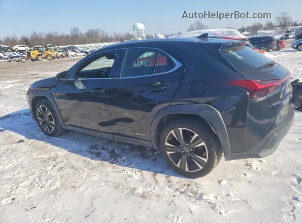 JTHX9JBH0L2034430 2020 LEXUS UX Black Trasero izquierdo