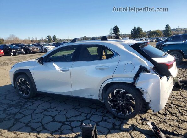 JTHX9JBH2N2059414 2022 LEXUS UX White Задня ліва чверть