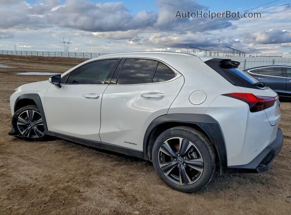 JTHX9JBH2N2062216 2022 LEXUS UX White Rear left
