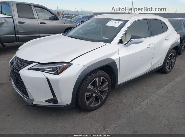 JTHX9JBH7M2050691 2021 LEXUS UX 250H White Front left