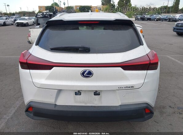 JTHX9JBH7M2050691 2021 LEXUS UX 250H White 