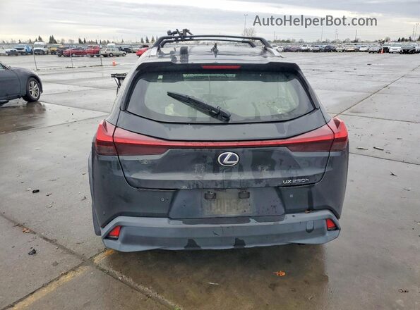 JTHX9JBH9M2046609 2021 LEXUS UX Black Вид ззаду