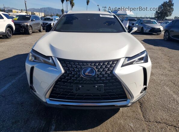 JTHX9JBH9N2059328 2022 LEXUS UX Белый Вид спереди