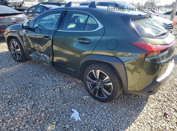 JTHX9JBH9N2060852 2022 LEXUS UX Green Trasero izquierdo