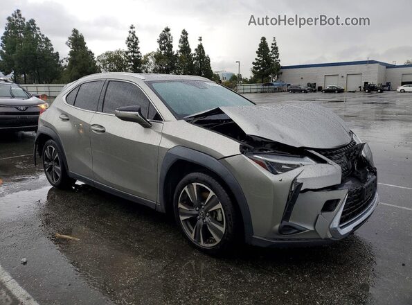 JTHY3JBH0K2018829 2019 LEXUS UX Gray 