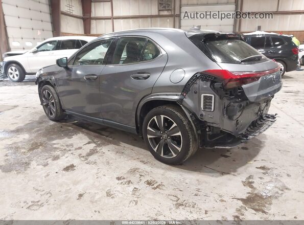 JTHY3JBH1K2003319 2019 LEXUS UX 200 Gray Задня ліва чверть