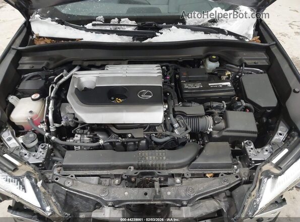 JTHY3JBH1K2003319 2019 LEXUS UX 200 Gray Вид ззаду