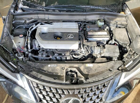 JTHY3JBH2K2013387 2019 LEXUS UX Черный Вид задней части салона