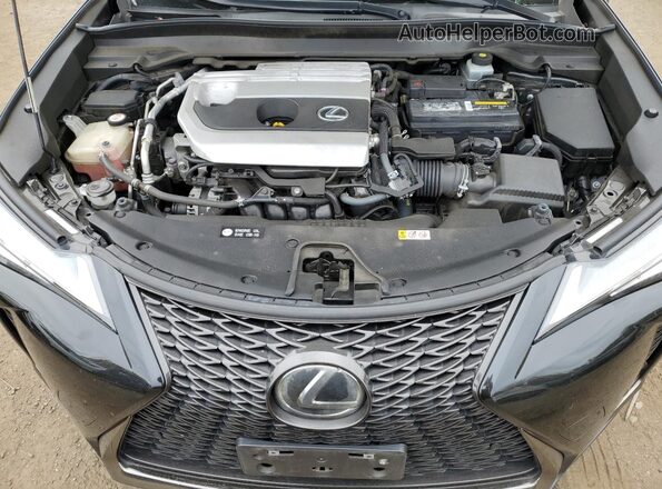 JTHY3JBH3K2006013 2019 LEXUS UX Black Սալոնի հետևի տեսք