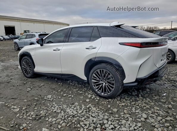 JTJAAAAB2PA007377 2023 LEXUS RZ Белый Задняя левая четверть