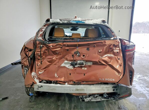 JTJABABB0SA010735 2025 LEXUS RZ Tan Vista trasera