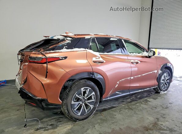 JTJABABB0SA010735 2025 LEXUS RZ Tan Trasero derecho