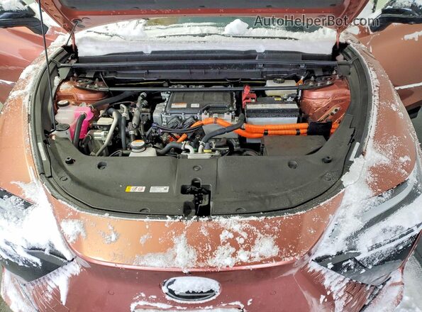 JTJABABB0SA010735 2025 LEXUS RZ Tan Vista del compartimento del motor