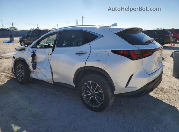 JTJADCAZ0R5013755 2024 LEXUS NX White 