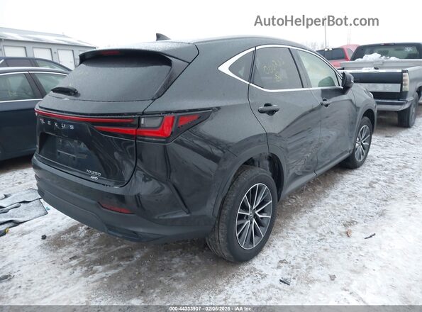 JTJADCEZ4N5000222 2022 LEXUS NX 250 Black Trasero derecho
