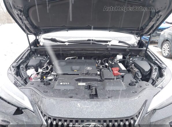 JTJADCEZ4N5000222 2022 LEXUS NX 250 Black Vista trasera