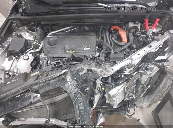 JTJAKCEZ2S5028053 2025 LEXUS NX 350H Серый Вид сзади