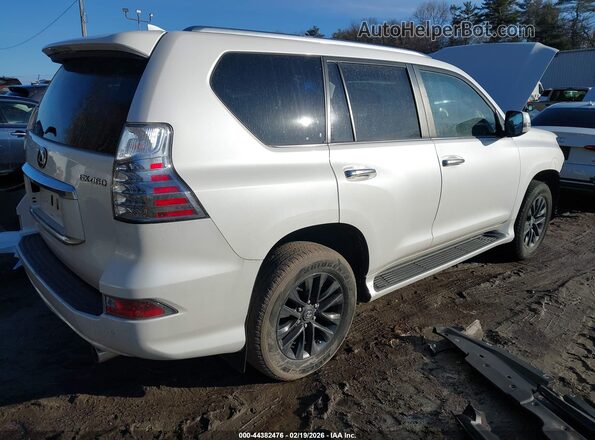 JTJAM7BX1P5340103 2023 LEXUS GX 460 White Trasero derecho