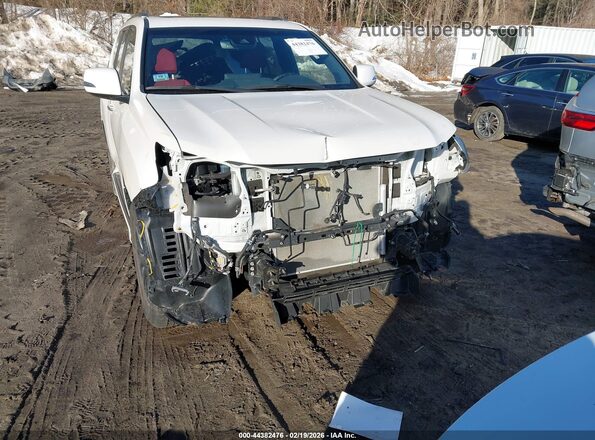 JTJAM7BX1P5340103 2023 LEXUS GX 460 White Vista frontal
