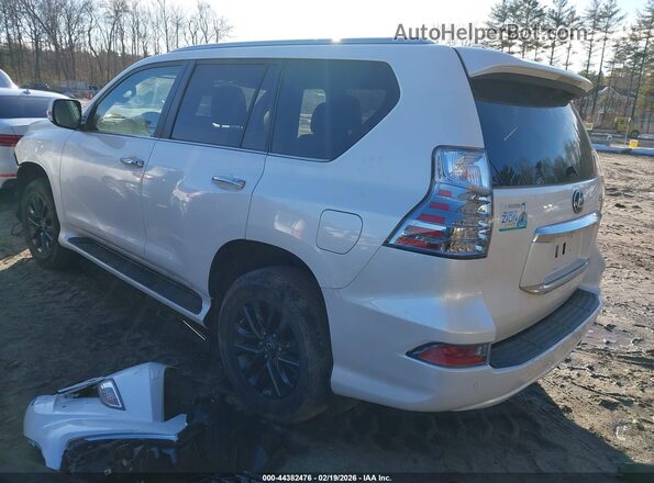 JTJAM7BX1P5340103 2023 LEXUS GX 460 White Trasero izquierdo