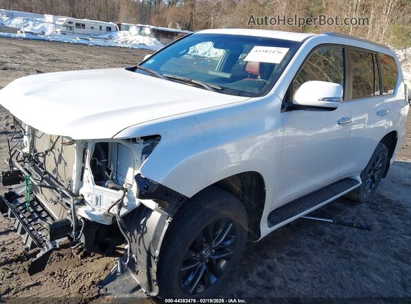 JTJAM7BX1P5340103 2023 LEXUS GX 460 White Vista tres cuartos delantera izquierda