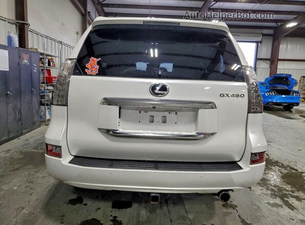 JTJAM7BX2L5249187 2020 LEXUS GX Белый Вид сзади
