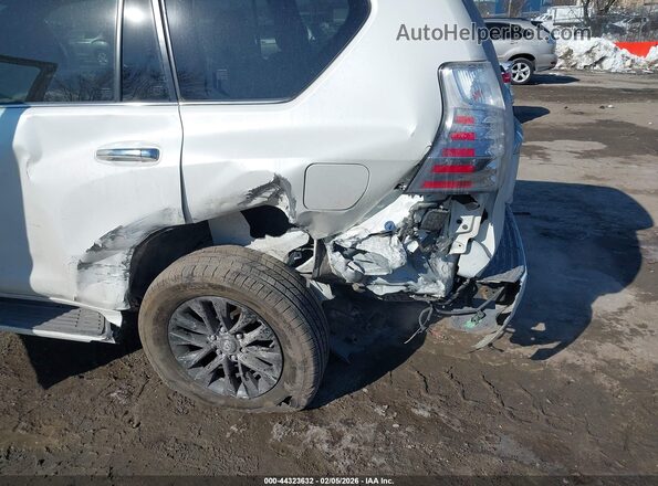 JTJAM7BX2M5296768 2021 LEXUS GX 460 White Вид спереду