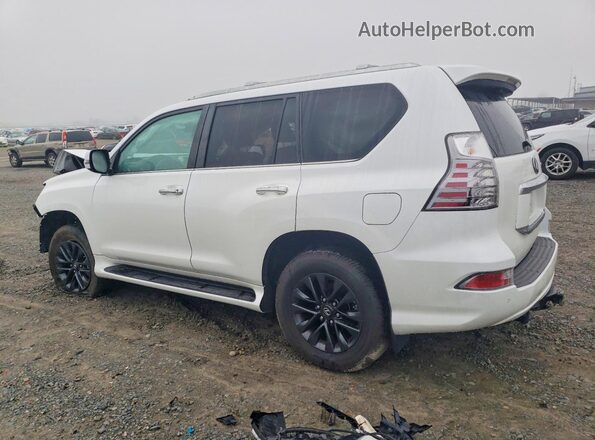 JTJAM7BX4M5291586 2021 LEXUS GX White უკანა მარცხენა