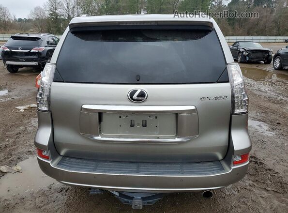JTJAM7BX6L5259172 2020 LEXUS GX Желто-коричневый Вид сзади