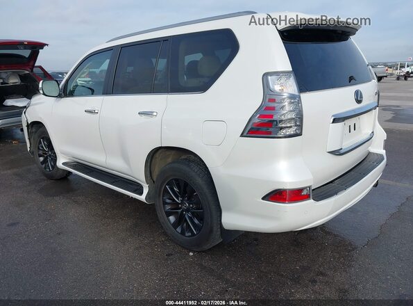 JTJAM7BX6N5330549 2022 LEXUS GX 460 White Հետևի ձախ