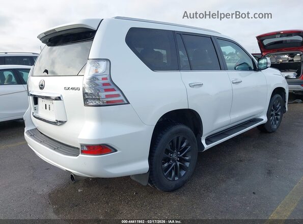 JTJAM7BX6N5330549 2022 LEXUS GX 460 White Հետևի աջ