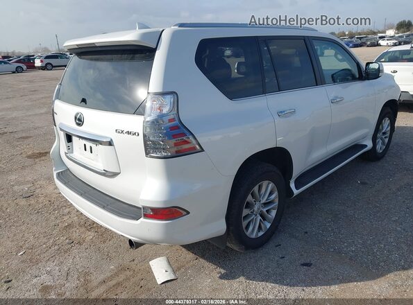 JTJAM7BX8N5307788 2022 LEXUS GX 460 White უკანა მარჯვენა
