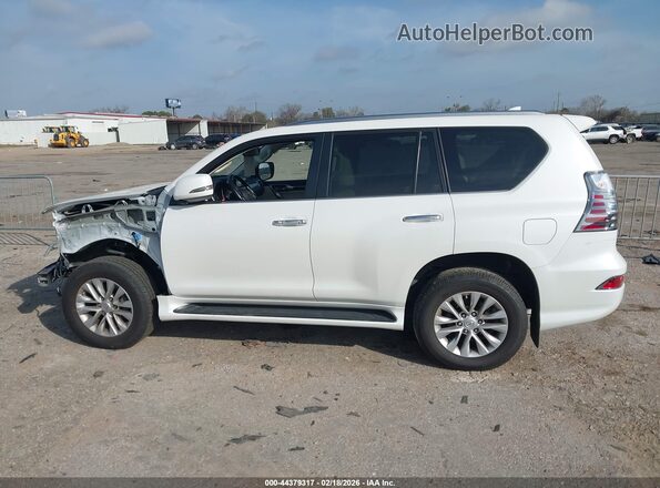 JTJAM7BX8N5307788 2022 LEXUS GX 460 White სალონის 360-გრადუსიანი ხედი