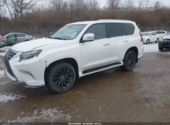 JTJAM7BXXM5283668 2021 LEXUS GX 460 Белый Передняя левая четверть